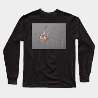 Mimetus eutypus spider Long Sleeve T-Shirt